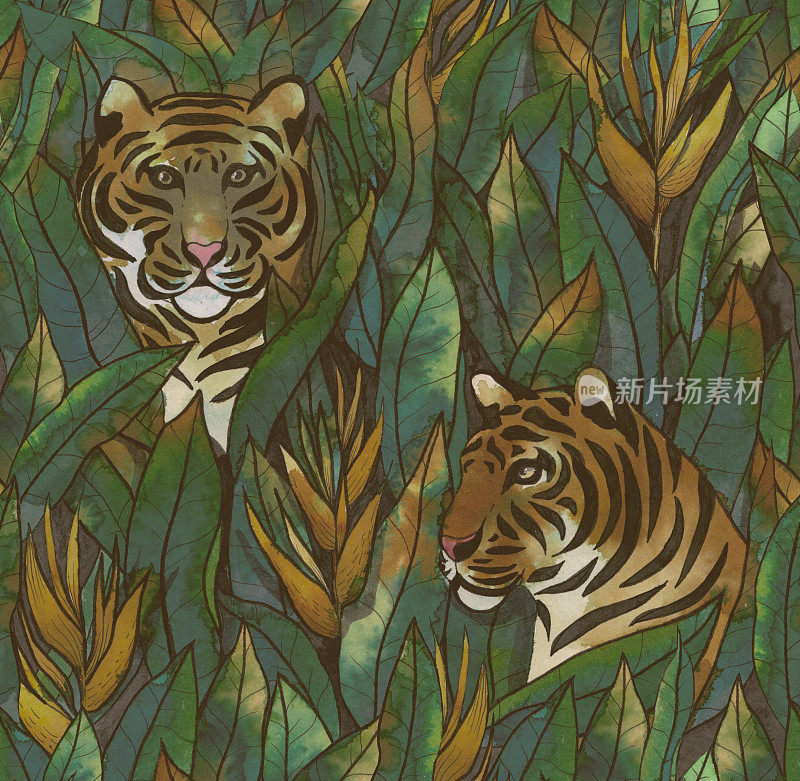Tiger in tropical leaves hand-drawn by watercolor."n